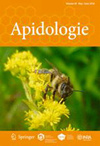 APIDOLOGIE雜志封面