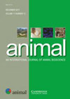 Animal雜志封面