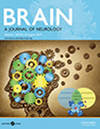 BRAIN雜志封面