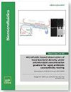 Biomicrofluidics雜志封面