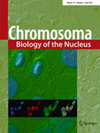 CHROMOSOMA封面
