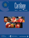 Cartilage雜志封面