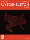 Cytoskeleton雜志封面