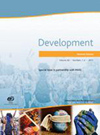 DEVELOPMENT雜志封面