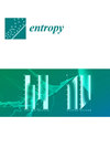 Entropy雜志封面