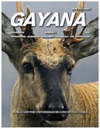 GAYANA雜志封面