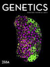 GENETICS雜志封面
