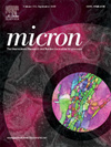 MICRON雜志封面