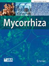 MYCORRHIZA雜志封面