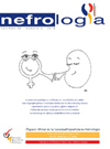 NEFROLOGIA雜志封面