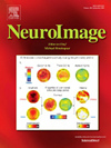 NEUROIMAGE雜志封面