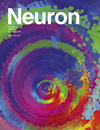 NEURON雜志封面