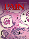 PAIN雜志封面