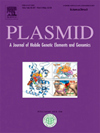 PLASMID雜志封面