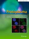 PROTOPLASMA雜志封面