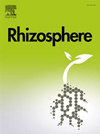 Rhizosphere雜志封面