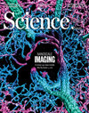 SCIENCE雜志封面