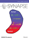 SYNAPSE雜志封面