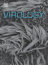 VIROLOGY雜志封面