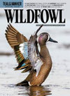 WILDFOWL雜志封面