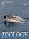 ZOOLOGY雜志封面