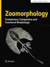 ZOOMORPHOLOGY雜志封面