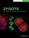 ZYGOTE封面