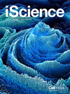 iScience雜志封面