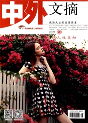 中外文摘雜志封面