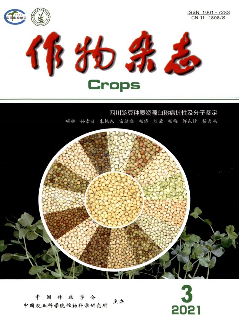 作物雜志封面