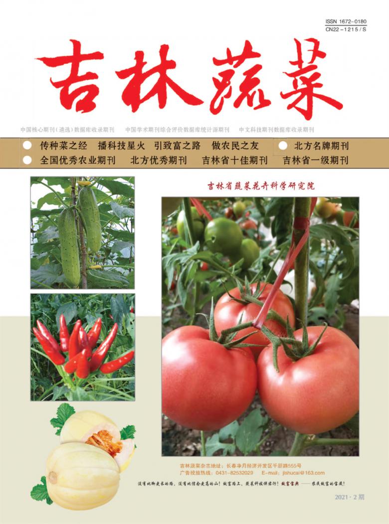 吉林蔬菜雜志封面