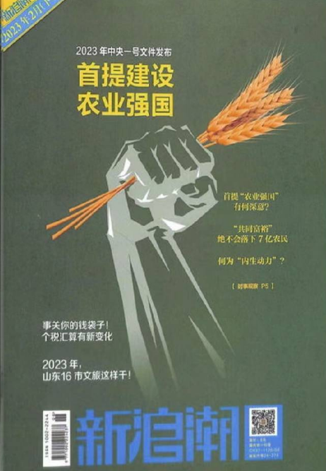 新浪潮雜志封面