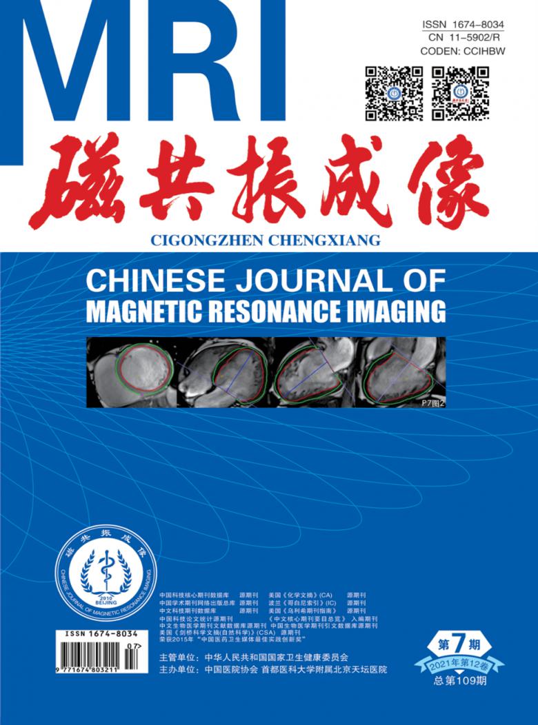 磁共振成像雜志封面