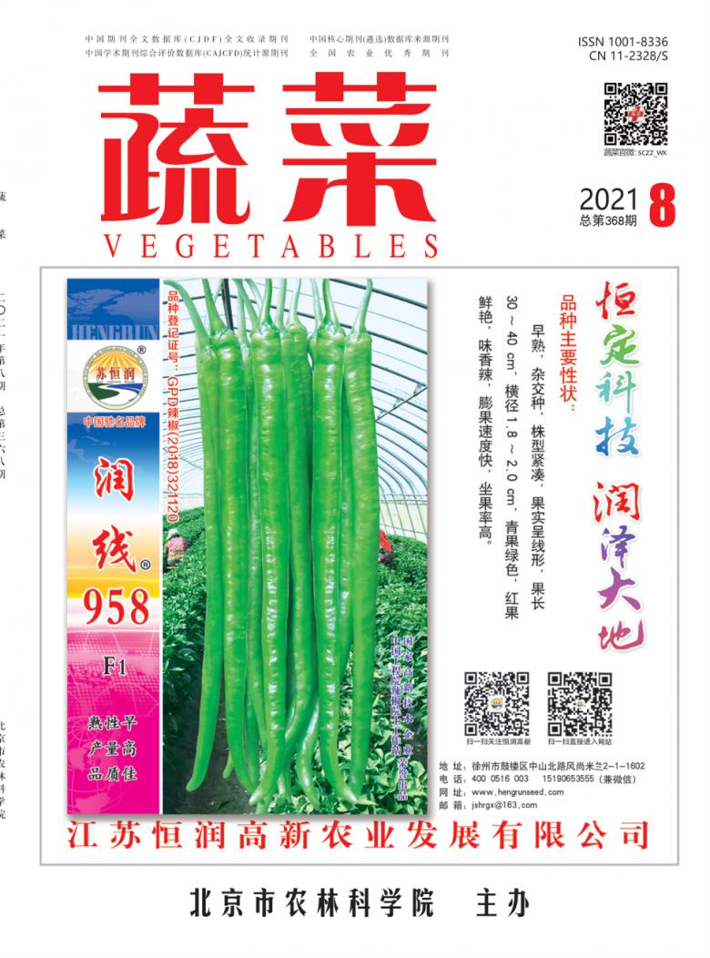 蔬菜雜志封面